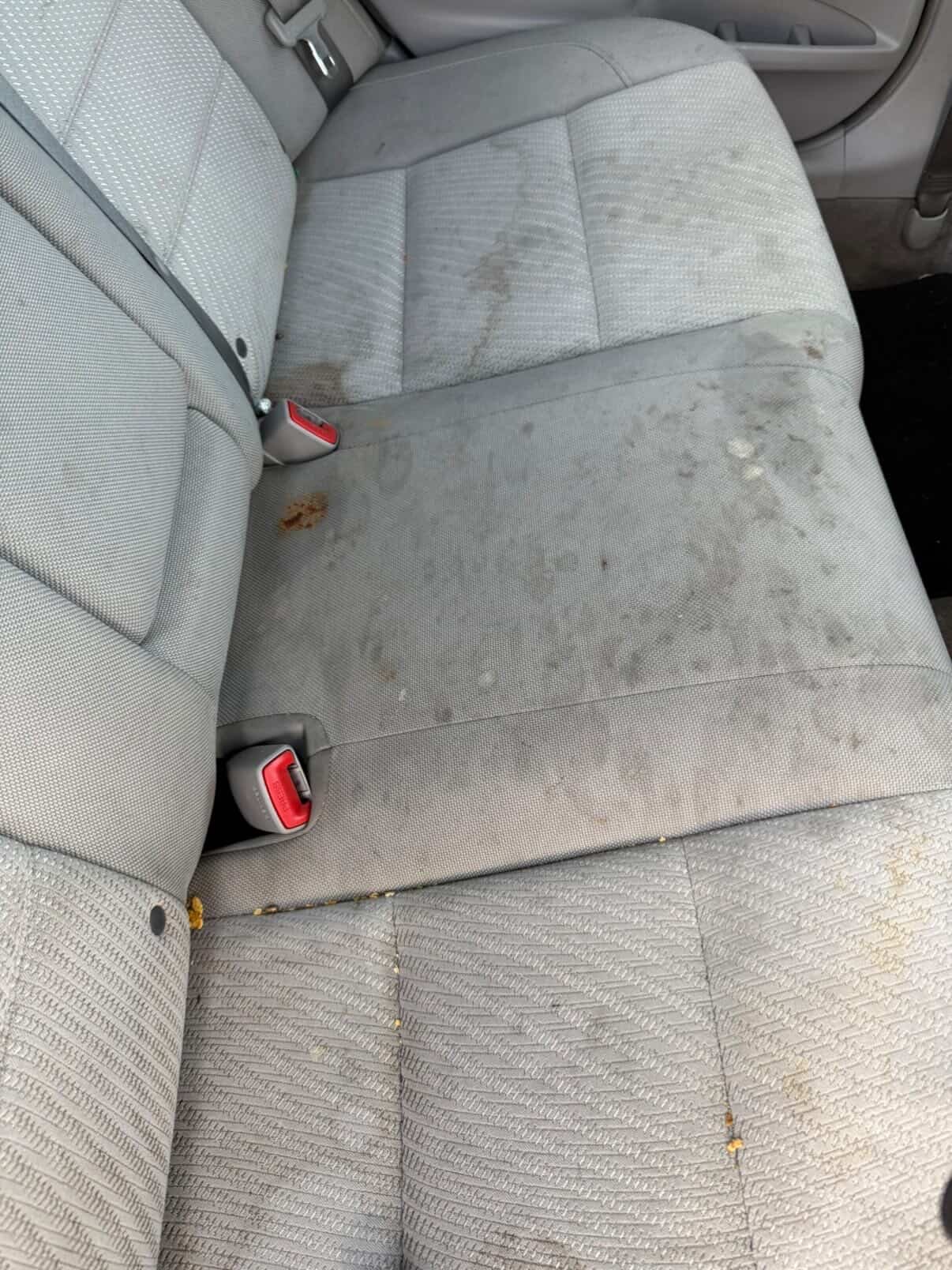 Stained rear seats — before