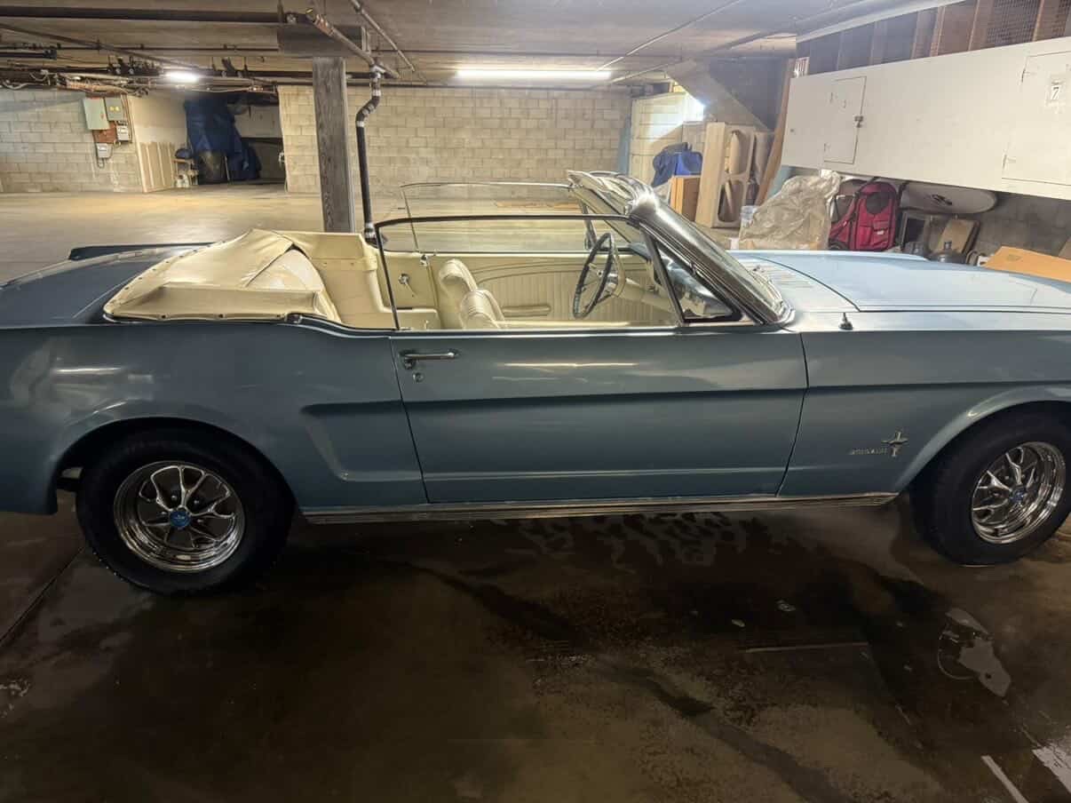 Classic Mustang